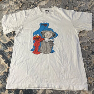 Kaws Sesame Street